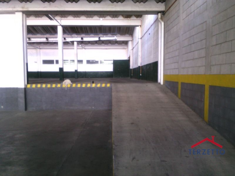 Bodega Zona 12 - 4