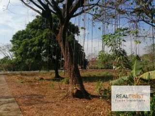 TERRENO EN RENTA Autopista de Escuintla hacia Puerto Quetzal Km 70.5 — Terreno en Alquiler en Escuintla, Escuintla — miniatura 2 de 2